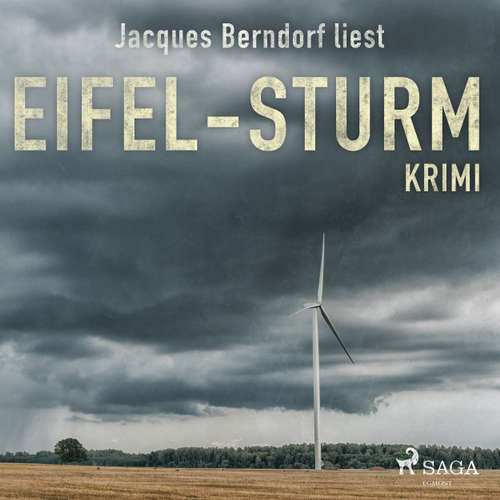 Eifel-Sturm - Kriminalroman aus der Eifel