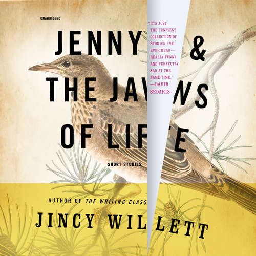 Audiobook Jenny and the Jaws of Life - Jincy Willett - Hillary Huber