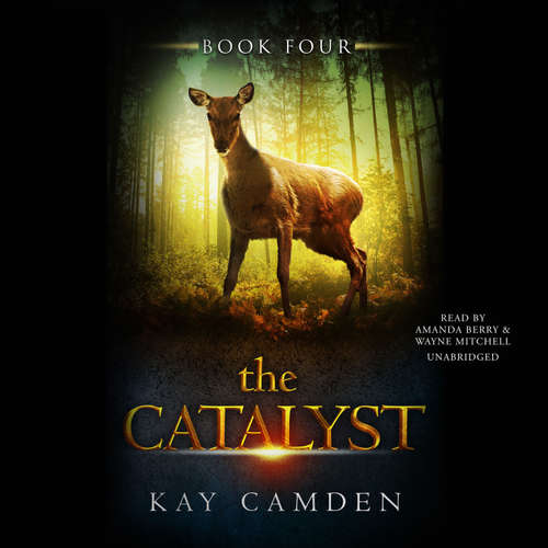 Audiobook The Catalyst - Kay Camden - Amanda Berry