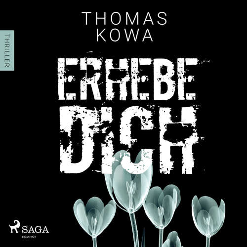 Erhebe dich - Kommissar Erik Lindberg-Reihe 3