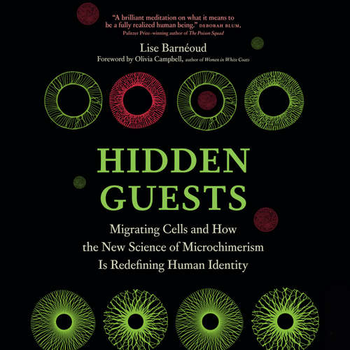 Audiobook Hidden Guests - Lise Barnéoud - Rebecca Stern