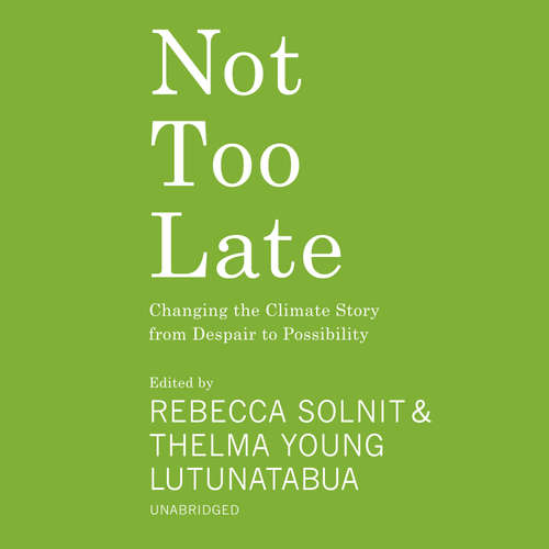 Audiobook Not Too Late - various authors - Hillary Huber