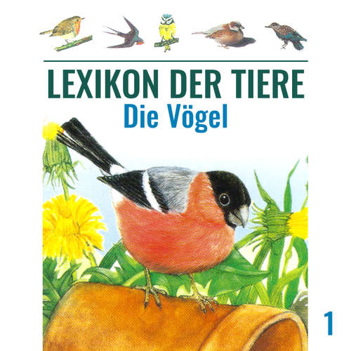 Hoerbuch Lexikon der Tiere, Folge 1: Die Vögel - Mik Berger - Achim Schülke Hoerbuch Lexikon der Tiere, Folge 1: Die Vögel - Mik Berger - Achim Schülke