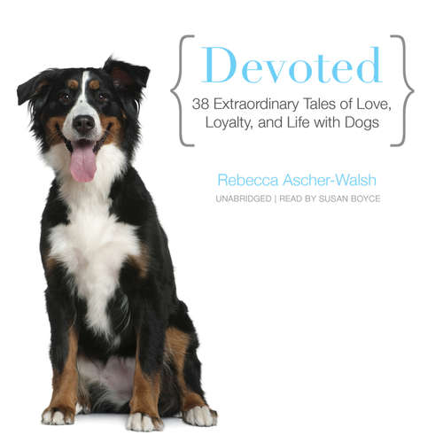 Audiobook Devoted - Rebecca Ascher-Walsh - Susan Boyce