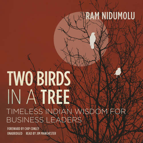 Audiobook Two Birds in a Tree - Ram Nidumolu - Jim Manchester