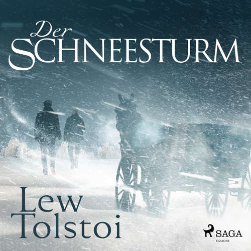 Der Schneesturm