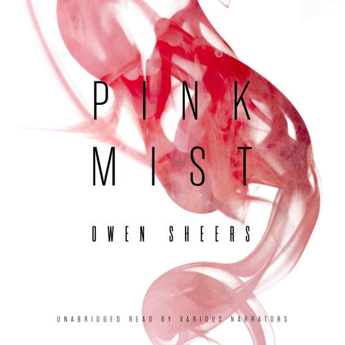 Audiobook Pink Mist - Owen Sheers - Liam Gerrard