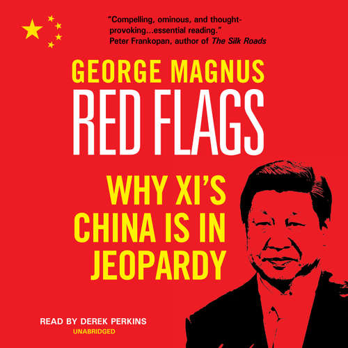 Audiobook Red Flags - George Magnus - Derek Perkins