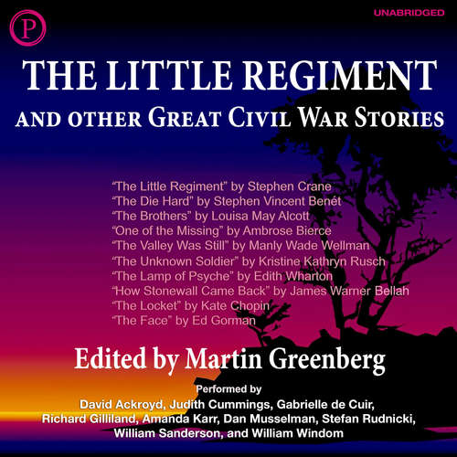 Audiobook The Little Regiment & Other Great Civil War Stories - Louisa May Alcott - David Ackroyd