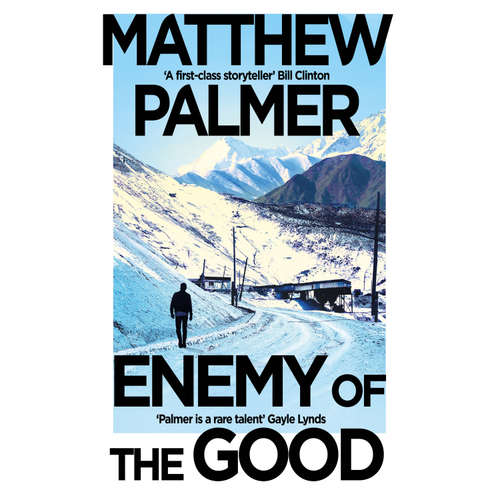 Audiobook Enemy of the Good - Matthew Palmer - Francine Brody