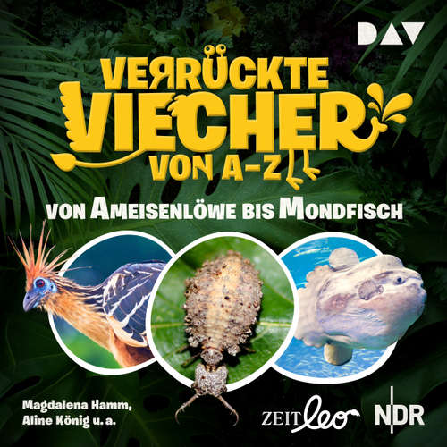 Hoerbuch Verrückte Viecher von A bis Z - Teil 1: Von Ameisenlöwe bis Mondfisch - Magdalena Hamm - Magdalena Hamm