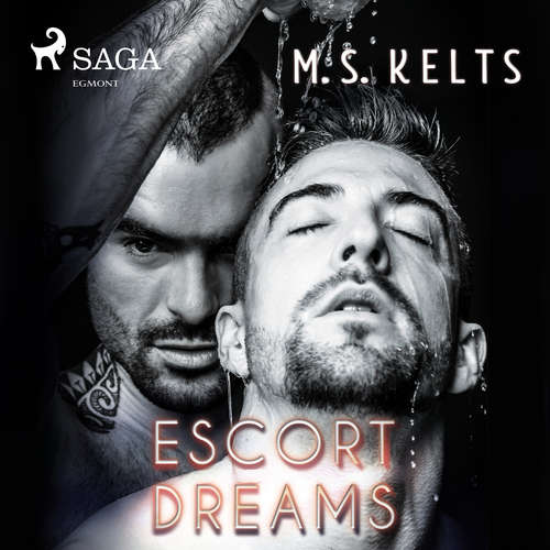 Escort Dreams - Dreams-Reihe 1
