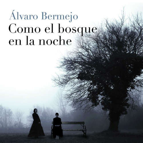 Audiolibro Como el bosque en la noche - Álvaro Bermejo - Diana Torres