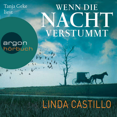 Wenn die Nacht verstummt - Thriller