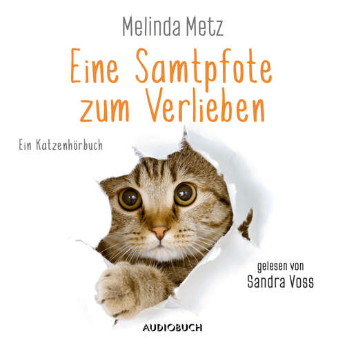 Die Samtpfoten-Serie, Folge 1: Eine Samtpfote zum Verlieben