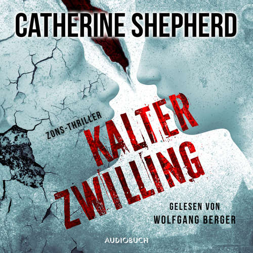 Kalter Zwilling - Zons-Thriller 3