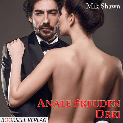 Audiokniha Anale Freuden 3 - Mik Shwan - Matthias Hubert
