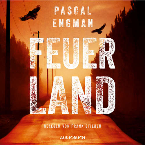 Hoerbuch Feuerland - Vanessa Frank-Thriller 1 - Pascal Engman - Frank Stieren Hoerbuch Feuerland - Vanessa Frank-Thriller 1 - Pascal Engman - Frank Stieren