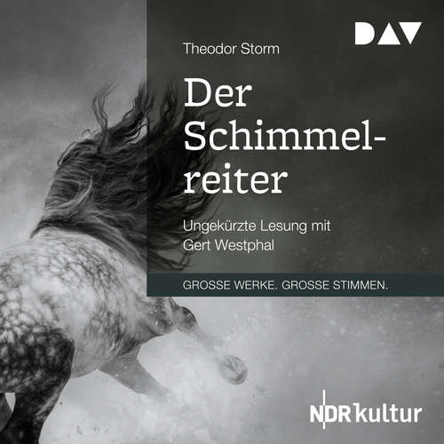 Hoerbuch Der Schimmelreiter - Theodor Storm - Gert Westphal Hoerbuch Der Schimmelreiter - Theodor Storm - Gert Westphal