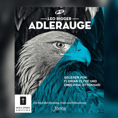 Hoerbuch Adlerauge - Ein Hörbuch über Berufung, Vision und Fokussierung - Leo Bigger - Florian Clyde