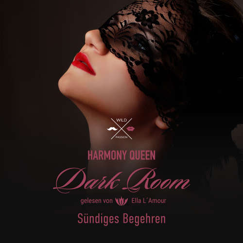Hoerbuch Sündiges Begehren - Dark Room, Band 2 - Harmony Queen - Ella L'Amour