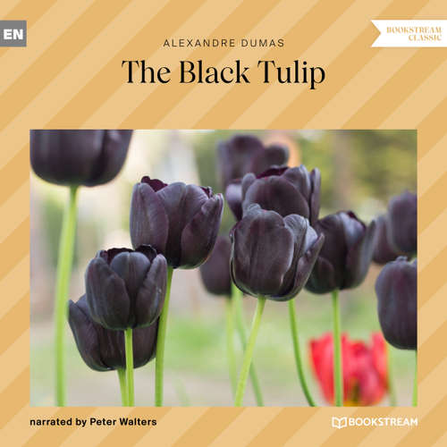 Audiobook The Black Tulip - Alexandre Dumas - Peter Walters