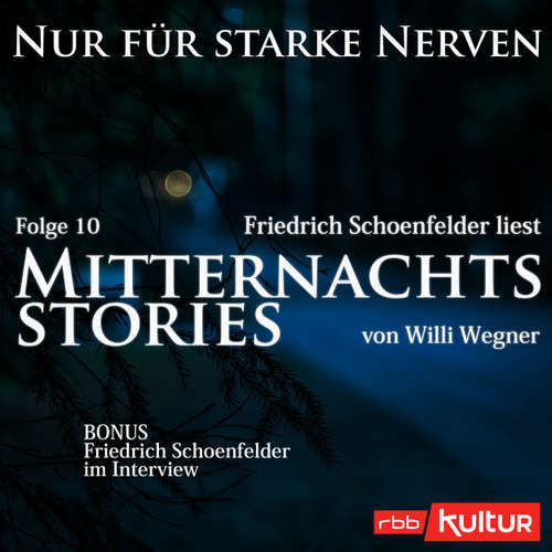 Hoerbuch Mitternachtsstories von Willi Wegner - Nur für starke Nerven, Folge 10 - Willi Wegner - Friedrich Schoenfelder