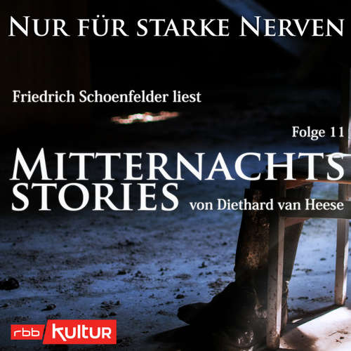Hoerbuch Mitternachtsstories von Diethard van Heese - Nur für starke Nerven, Folge 11 - Diethard van Heese - Friedrich Schoenfelder