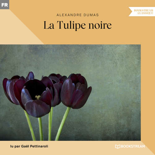Livre audio La Tulipe noire (Version intégrale) - Alexandre Dumas - Gaël Pettinaroli