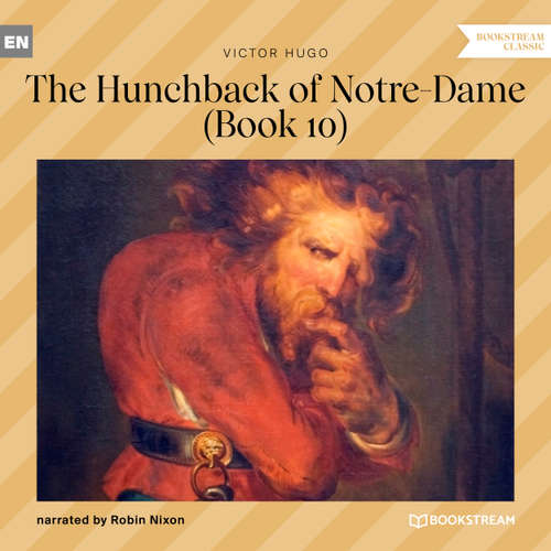 Audiobook The Hunchback of Notre-Dame, Book 10 - Victor Hugo - Robin Nixon