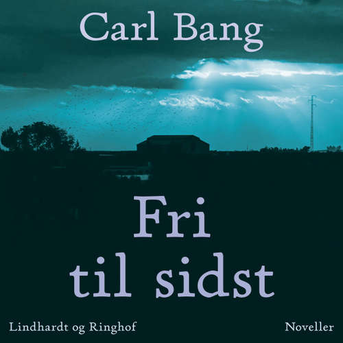 Audiokniha Fri til sidst - Carl Bang - Fjord Trier Hansen Audiokniha Fri til sidst - Carl Bang - Fjord Trier Hansen