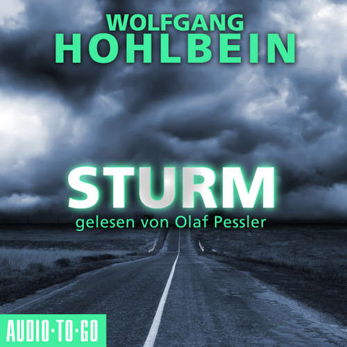 Hoerbuch Sturm - Wolfgang Hohlbein - Olaf Pessler
