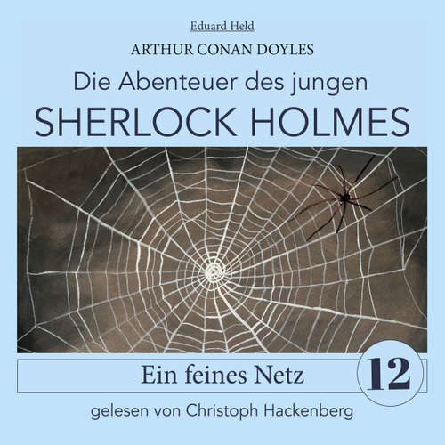 Hoerbuch Sherlock Holmes: Ein feines Netz - Die Abenteuer des jungen Sherlock Holmes, Folge 12 - Sir Arthur Conan Doyle - Christoph Hackenberg