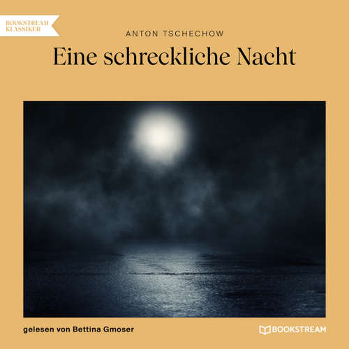 Hoerbuch Eine schreckliche Nacht - Anton Tschechow - Bettina Gmoser
