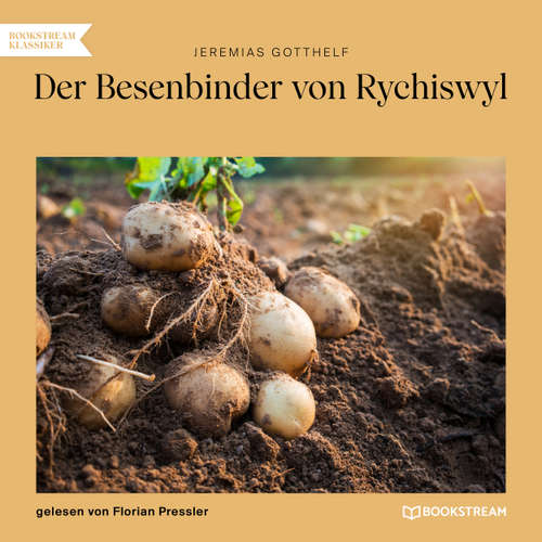 Hoerbuch Der Besenbinder von Rychiswyl - Jeremias Gotthelf - Florian Pressler