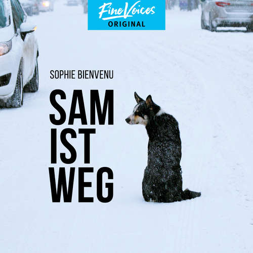 Hoerbuch Sam ist weg - Sophie Bienvenu - Jona Mues Hoerbuch Sam ist weg - Sophie Bienvenu - Jona Mues