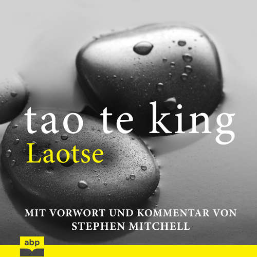 Hoerbuch Tao Te King - Eine zeitgemäße Version für westliche Hörer - Laotse - Matthias Ernst Holzmann Hoerbuch Tao Te King - Eine zeitgemäße Version für westliche Hörer - Laotse - Matthias Ernst Holzmann