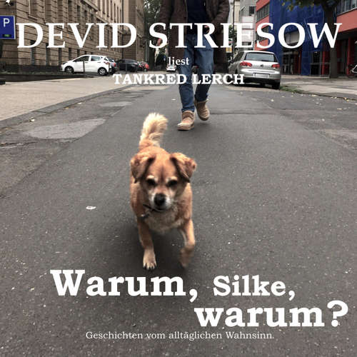 Hoerbuch Warum, Silke, warum? - Geschichten vom alltäglichen Wahnsinn - Tankred Lerch - Devid Striesow