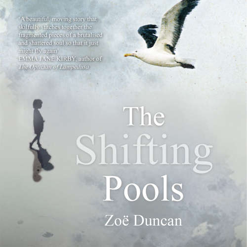 Audiobook The Shifting Pools - Zoe Duncan - Anna Harriott