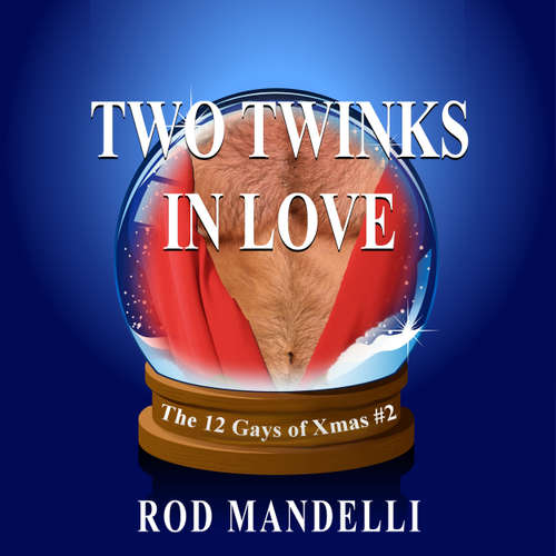 Audiobook Two Twinks In Love - 12 Gays of Xmas, book 2 - Rod Mandelli - Kirk Hall