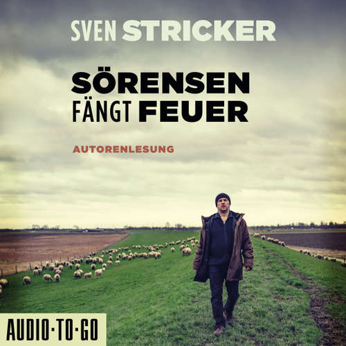 Hoerbuch Sörensen fängt Feuer - Sörensen ermittelt, Band 2 - Sven Stricker - Sven Stricker