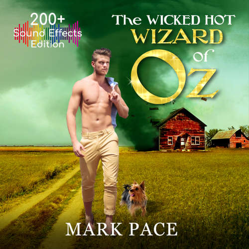 Audiobook The Wicked Hot Wizard of Oz - Sound Effects Special Edition - Mark Pace - Kirk Hall