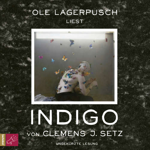 Hoerbuch Indigo - Clemens J. Setz - Ole Lagerpusch