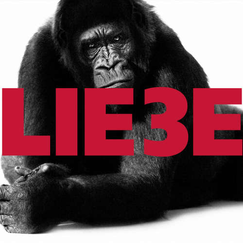 Hoerbuch Hagen Rether, Liebe 3 - Hagen Rether - Hagen Rether