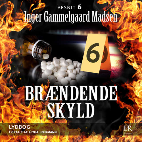 Afsnit 6 - Brændende skyld 6