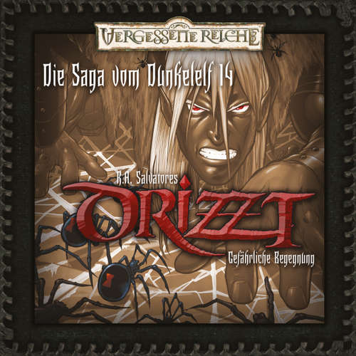 Hoerbuch Drizzt, Folge 14: Gefährliche Begegnung - R.A. Salvatore - Tobias Meister