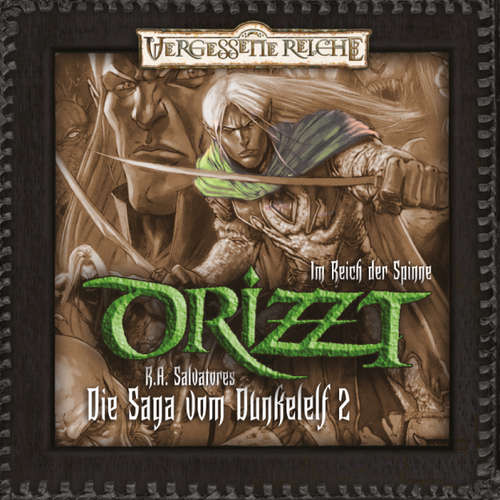Hoerbuch Drizzt, Folge 2: Im Reich der Spinne - R. A. Salvatore - Tobias Meister