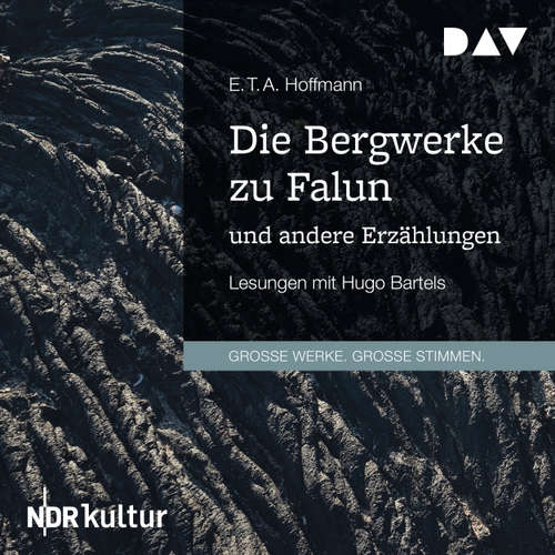 Hoerbuch Die Bergwerke zu Falun und andere Erzählungen - E. T. A. Hoffmann - Hugo R. Bartels