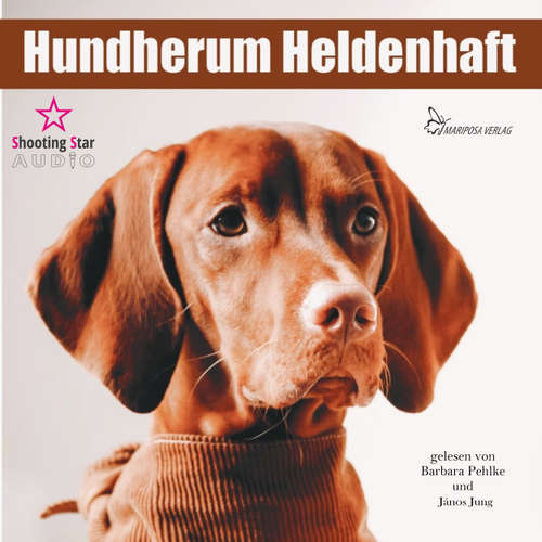 Hoerbuch Hundherum Heldenhaft - Nicole Pfeiffer - Barbara Pehlke