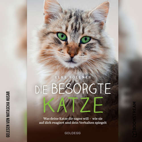 Hoerbuch Die besorgte Katze - Was deine Katze dir sagen will - wie sie auf dich reagiert und dein Verhalten spiegelt - Elke Söllner - Natascha Husar